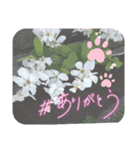 わたしさんぽスタンプ（個別スタンプ：4）