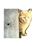 猫とジャンガリアンハムスター（個別スタンプ：5）