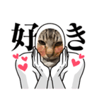 かりゆし たまちゃんスリー（個別スタンプ：10）