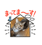 かりゆし たまちゃんスリー（個別スタンプ：13）