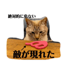 Riverside-Stamp（個別スタンプ：1）