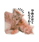 Riverside-Stamp（個別スタンプ：2）