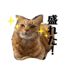 Riverside-Stamp（個別スタンプ：7）