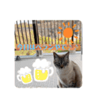 Riverside-Stamp（個別スタンプ：8）