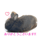 Riverside-Stamp（個別スタンプ：9）