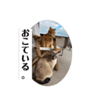 Riverside-Stamp（個別スタンプ：12）