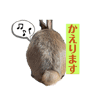 Riverside-Stamp（個別スタンプ：13）