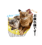 Riverside-Stamp（個別スタンプ：14）