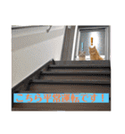 Riverside-Stamp（個別スタンプ：15）