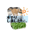 Riverside-Stamp（個別スタンプ：16）