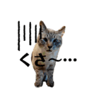 Riverside-Stamp（個別スタンプ：19）
