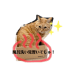 Riverside-Stamp（個別スタンプ：20）