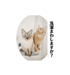 Riverside-Stamp（個別スタンプ：26）