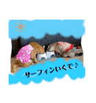 Riverside-Stamp（個別スタンプ：28）
