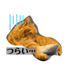 Riverside-Stamp（個別スタンプ：30）