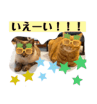 Riverside-Stamp（個別スタンプ：31）