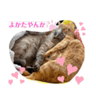 Riverside-Stamp（個別スタンプ：32）