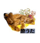 Riverside-Stamp（個別スタンプ：37）