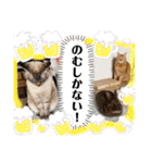 Riverside-Stamp（個別スタンプ：40）