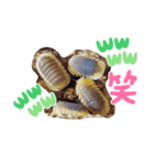 ダンゴさんと愉快な仲間たち（個別スタンプ：11）