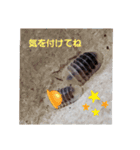 ダンゴさんと愉快な仲間たち（個別スタンプ：12）
