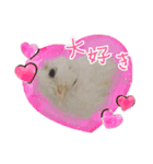 ヒメウズラNo.3（個別スタンプ：3）