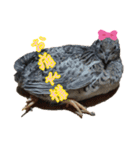 ヒメウズラNo.3（個別スタンプ：4）