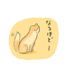 温泉こねこ7（個別スタンプ：23）