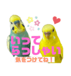 可愛すぎるセキセイインコのスタンプ（個別スタンプ：35）