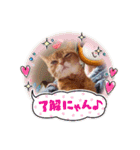 はな婆さん（個別スタンプ：1）