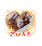はな婆さん（個別スタンプ：5）