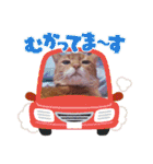 はな婆さん（個別スタンプ：7）