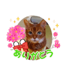 はな婆さん（個別スタンプ：8）