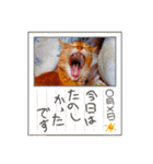 はな婆さん（個別スタンプ：10）