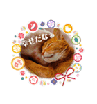 はな婆さん（個別スタンプ：12）
