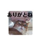 はな婆さん（個別スタンプ：14）