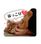 はな婆さん（個別スタンプ：18）