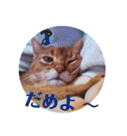 はな婆さん（個別スタンプ：32）