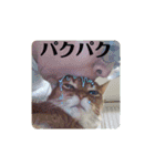 はな婆さん（個別スタンプ：33）