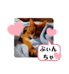 はな婆さん（個別スタンプ：38）