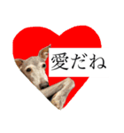リタのね（個別スタンプ：6）