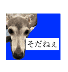 リタのね（個別スタンプ：8）