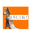 リタのね（個別スタンプ：9）