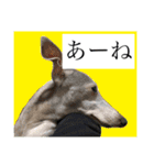 リタのね（個別スタンプ：11）