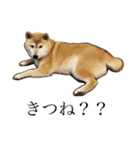 リタのね（個別スタンプ：14）