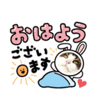 メインクーン6歳おちゃめな男の子☆（個別スタンプ：10）