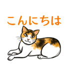 日本猫たち（個別スタンプ：2）