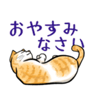 日本猫たち（個別スタンプ：3）