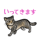 日本猫たち（個別スタンプ：5）