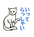 日本猫たち（個別スタンプ：6）